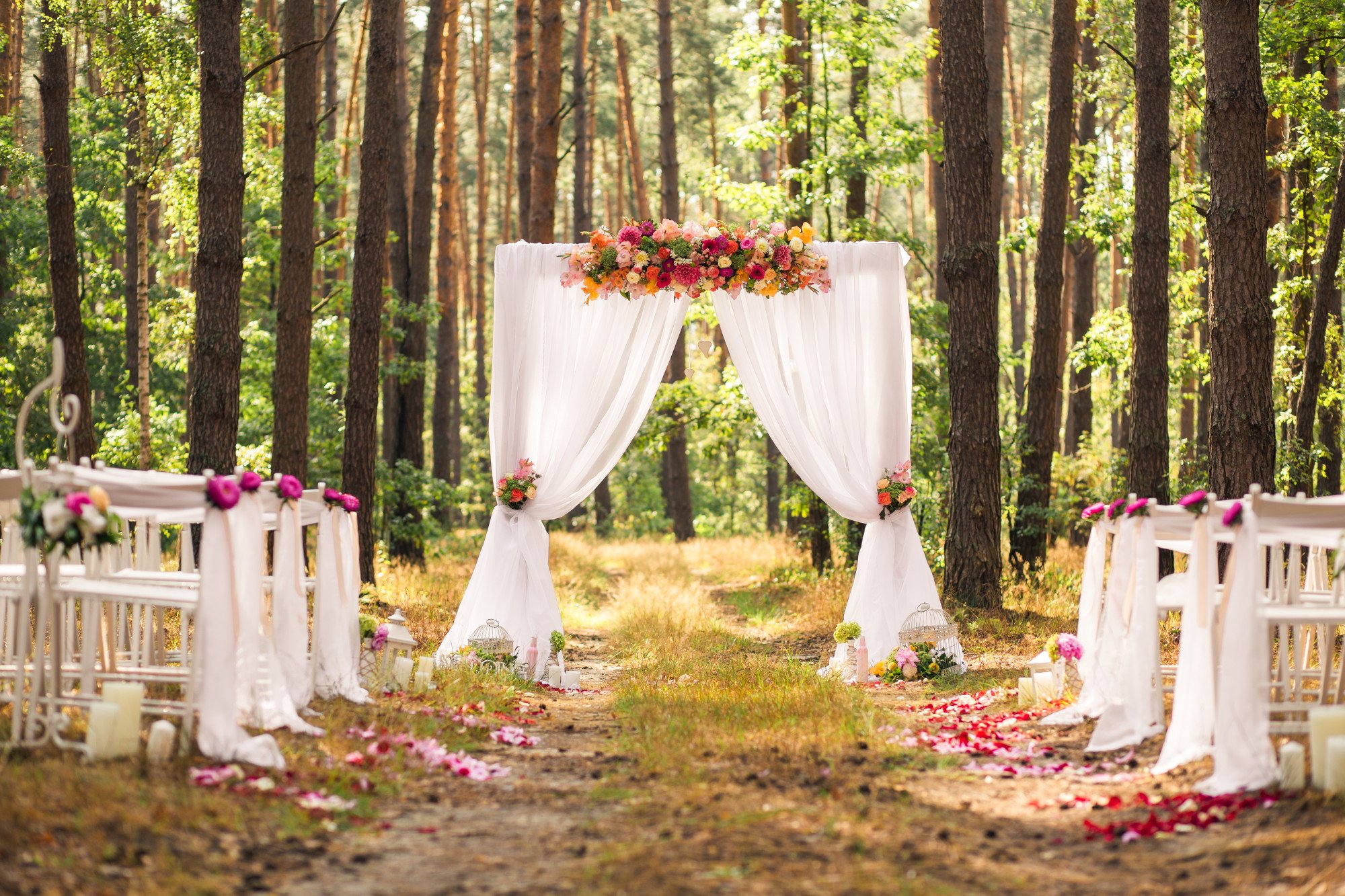 Porta Potties for Weddings: How to Incorporate Your Potty with Your Wedding Theme